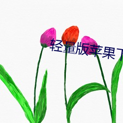 轻量版(bǎn)苹果(guǒ)下载安装