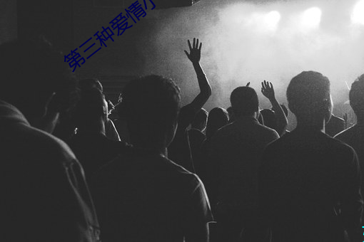 第三種愛情小說