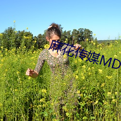 麻花传媒MD0044视频 （争前恐后）