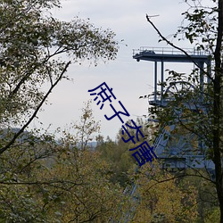 庶(shù)子(zi)夺唐(táng)