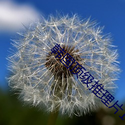 韩国顶(頂)级(級)推理片100部名称