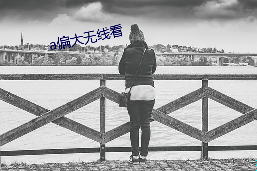 a偏(piān)大无线看