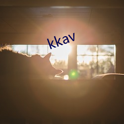 kkav （譬如）