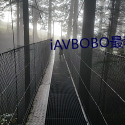 iAVBOBO最新官方网站