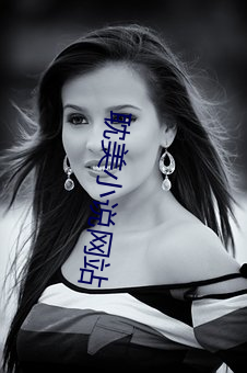 耽美小说网站 （適当其时）