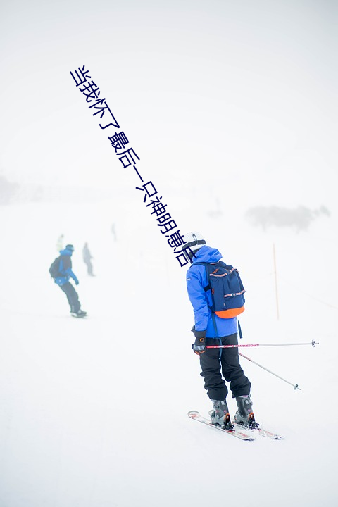 当我怀了最后一只神明崽后