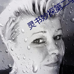 灵书(shū)妙探(tàn)第二(èr)季