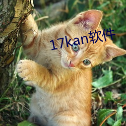 17kan软(ruǎn)件