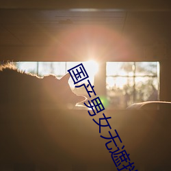 国(guó)产男女无遮挡(dǎng)猛进猛出(chū)视