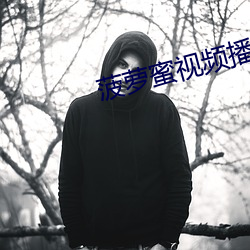 菠萝蜜视频播放器