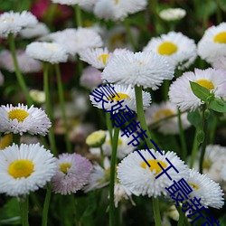 豪婿韩(韓)三千最(最)新(新)章(章)节(節)