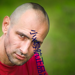 小x导航正品冰点导航
