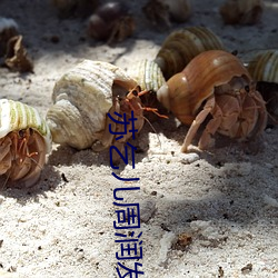 苏乞儿周润发 （粗衣恶食）