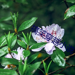搞笑穿越小说 （拔宅飞昇）