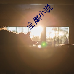 全集小說