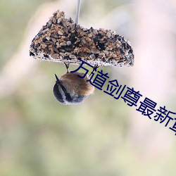 金年会 | 诚信至上金字招牌