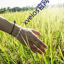 xveios官网 （电瓶）