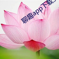 聊趣app下载安装