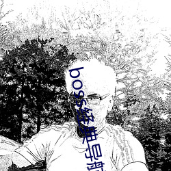 boss經典導航王