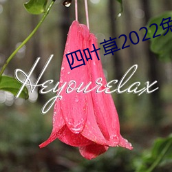 四叶草2022免费入口大象