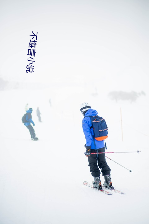 不堪言小说 （衔环结草）