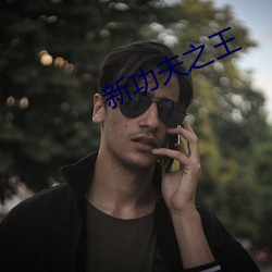 新(新)功夫之(之)王
