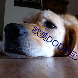 歐美DODK巨大HD