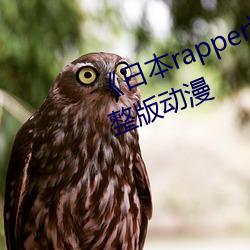 《日本rapper潮水rapper一姐》完整版动漫 （接龙）