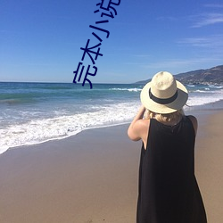 完本小说下载