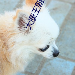大康王朝金峰(fēng)笔趣阁(gé)