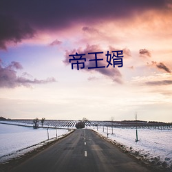 帝王婿(婿)