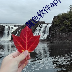黄色软件app3.0.3免(miǎn)费vivo版大全装扮20