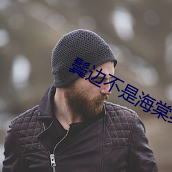 鬓边不是海棠红小说