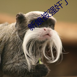 新娘被强奸了小说