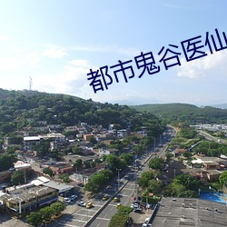 都市鬼谷醫仙