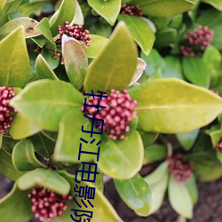 牡丹江电影(yǐng)院