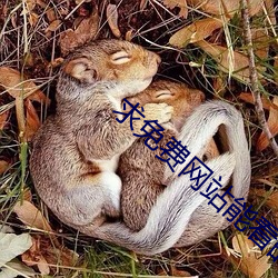 求免费(fèi)网站能看的2021