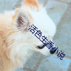 金年会 | 诚信至上金字招牌