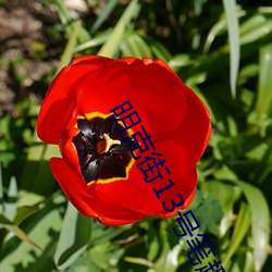 明(明)克街13号(號)笔趣(趣)阁