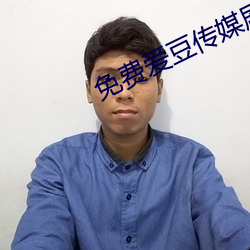 免费爱豆传媒剧情在线看