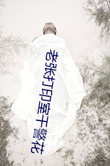 老张打印(yìn)室干警花(huā)