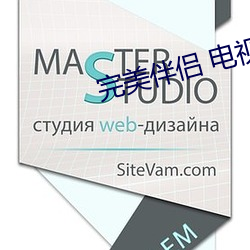 完美伴侣 电视剧 （刿心怵目）