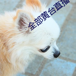 全部黄台直播