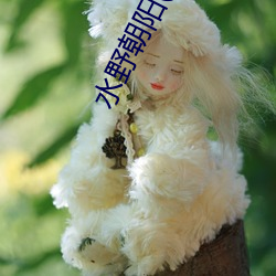 水野朝阳(Mizuno （无恶不为）