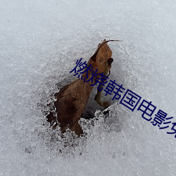 燃燒韓國電影免費完整版在