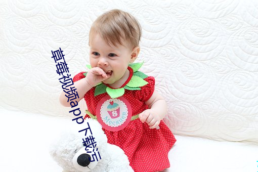 草莓视频app下载污