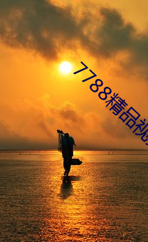 7788精品视频(頻)免(免)费(費)观看