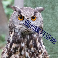 亞洲蜜月聖地
