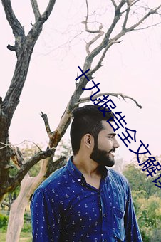 十九報告全文解讀ppt