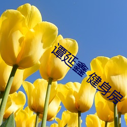 谭延鑫 健身房